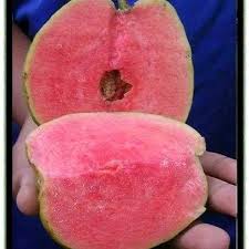 Fresh Japanese Red Diamond Guava