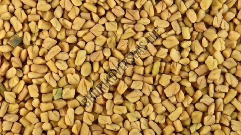 Dried Fenugreek Seeds