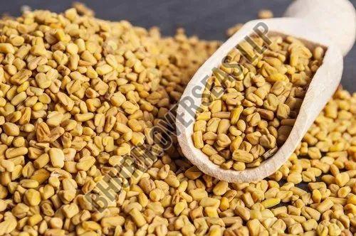 Organic Fenugreek Seeds