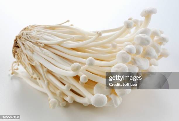 Organic White Enoki Mushroom