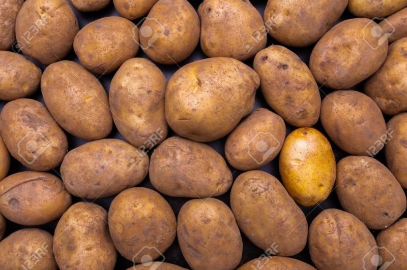 A Grade Brown Fresh Potato