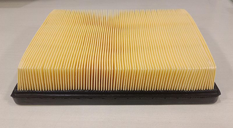 DTF-5674 Detroit Altroz Air Filter