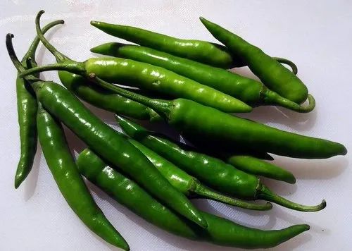 Fresh Green Chilli