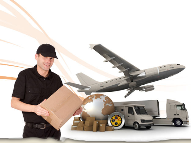 International Parcel Delivery Services