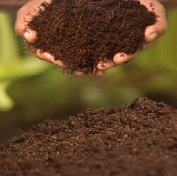 Cocopeat Compost