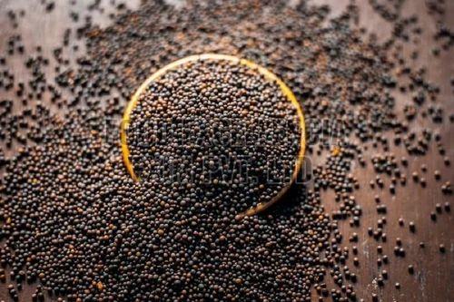 Black Mustard Seed