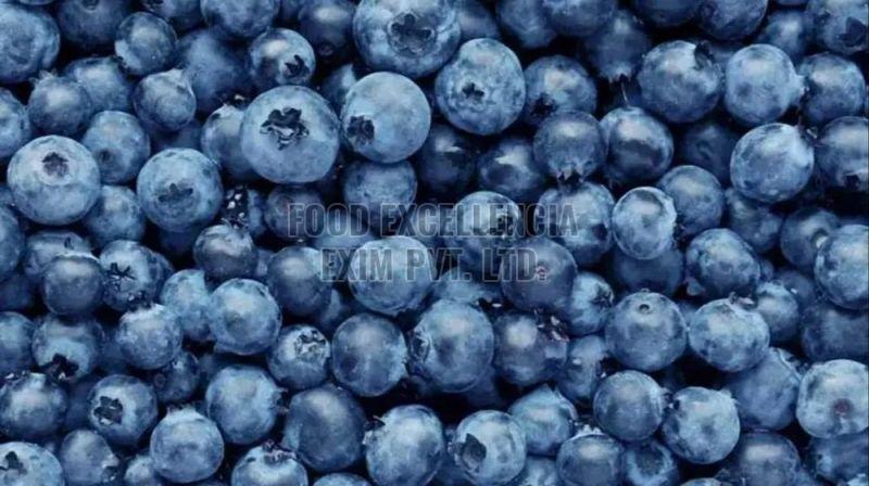 Fresh Blueberry