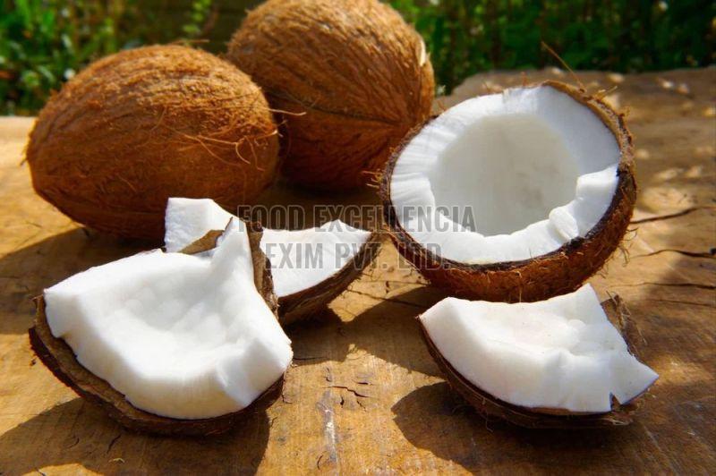 Fresh Brown Coconut