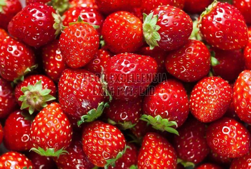 Fresh Red Strawberry