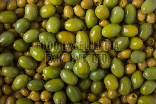 Green Fresh Preserved Olive