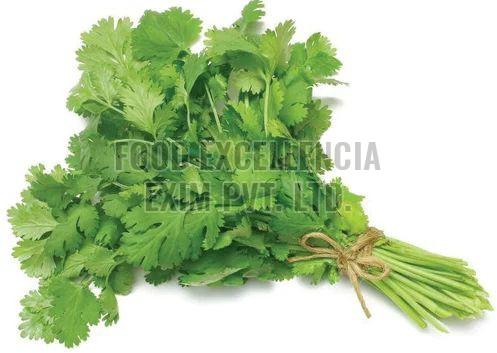 Natural Fresh Green Coriander Leaf