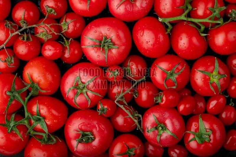 Red Fresh Tomato