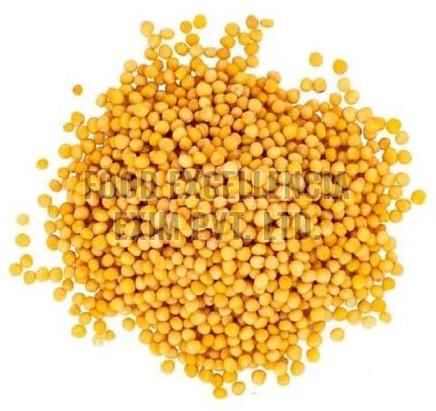 Yellow Mustard Seed