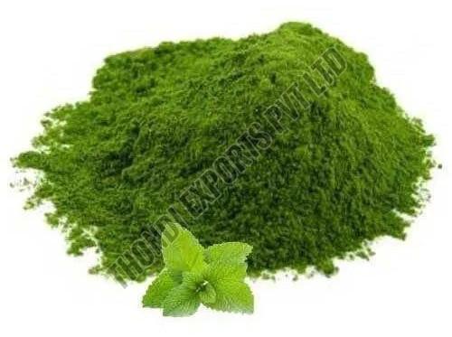 Dehydrated Mint Powder