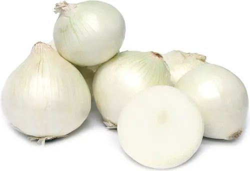 Fresh White Onion