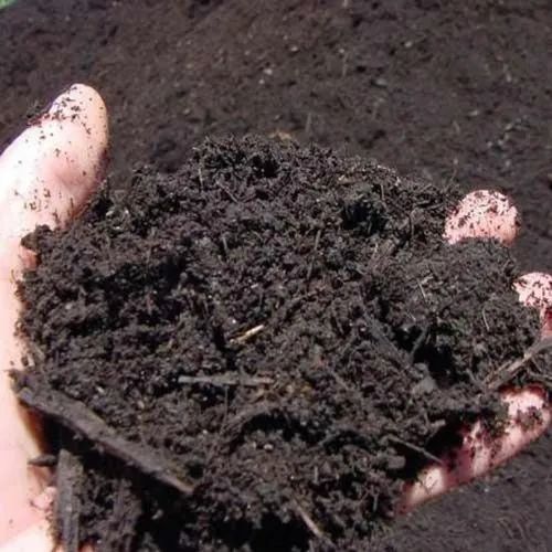 Bio Compost Fertilizer