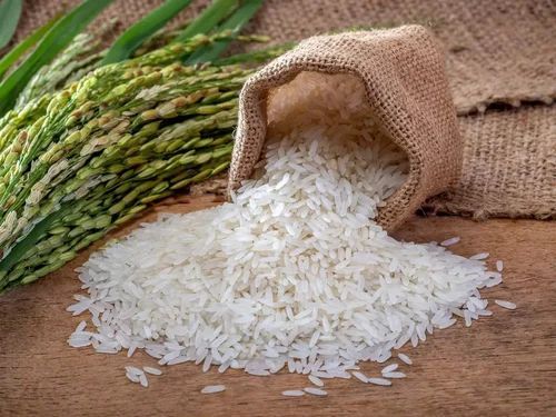 White Sella Basmati Rice