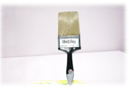 N44 100mm Paint Brush