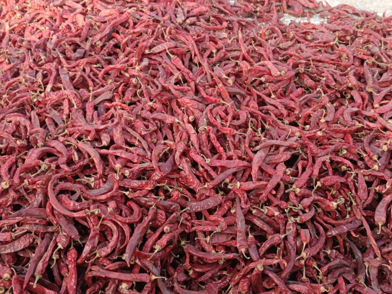 Organic Whole Red Chilli