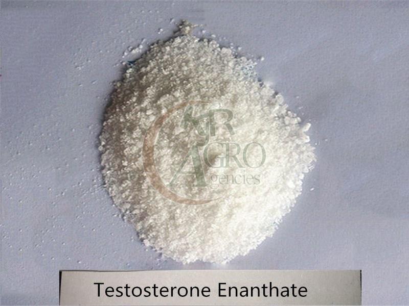 Testosterone Enanthate Powder