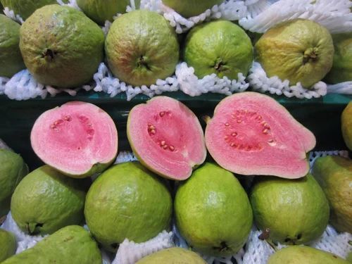 Thai Pink Guava