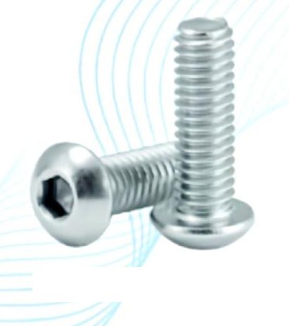 Stainless Steel Button Bolts