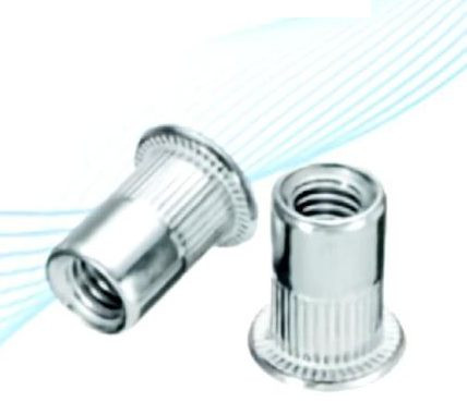 Stainless Steel Insert Nuts