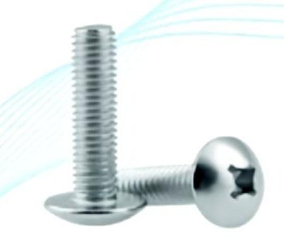 Stainless Steel Mushroom Head Screws