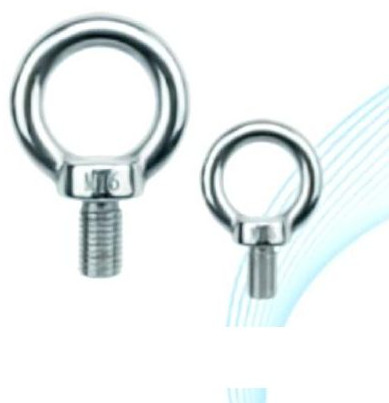 Stainless Steel Ring Bolts