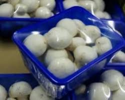 Dried White Button Mushroom