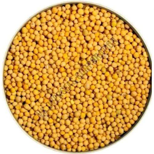 Yellow Mustard Seeds