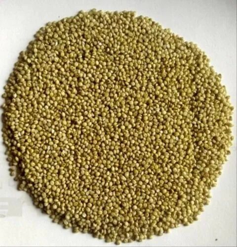 Browntop Millet Seeds