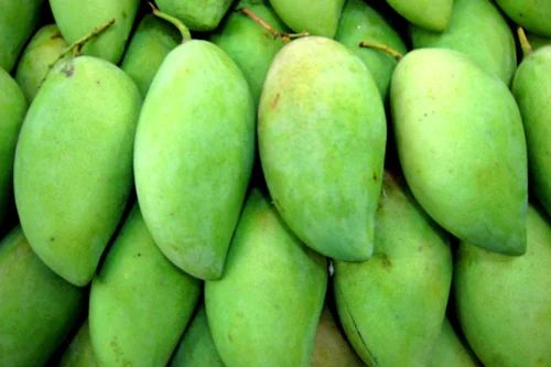 Fresh Raw Mango