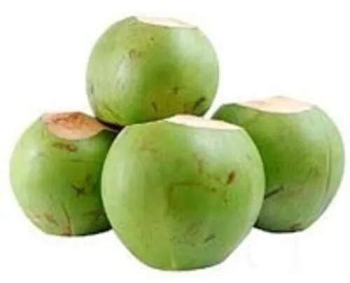 Tender Green Coconut