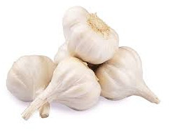 Fresh Garlic