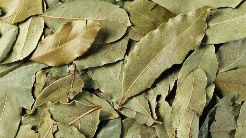 Dried Bay Leaves