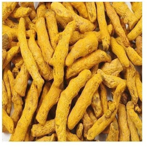 Organic Turmeric Finger