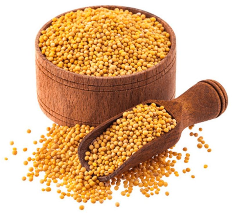 Yellow Mustard Seed