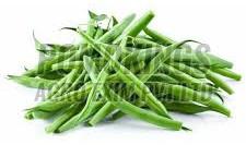 Fresh Green Beans