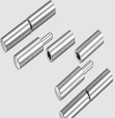 Door Bullet Pin Hinges