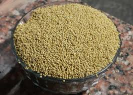 Browntop Millet