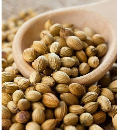 Coriander Seeds