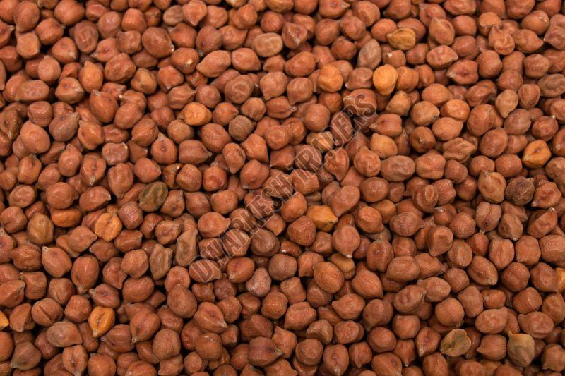 Brown Chickpeas