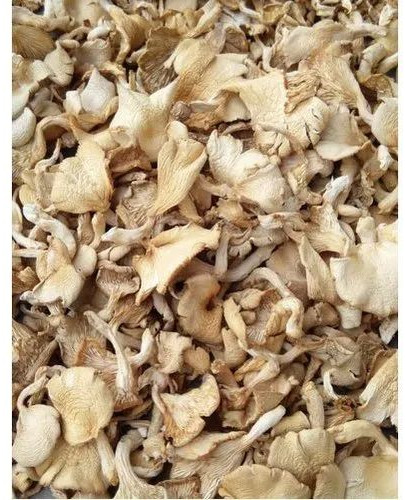 Natural Dried Oyster Mushroom