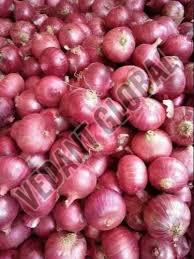 B Grade Red Onion