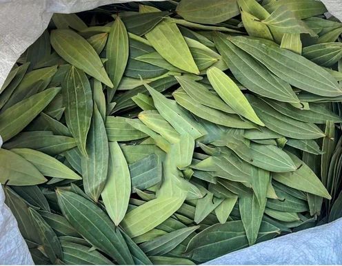 Bay Leaves