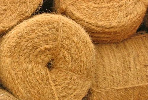 Bristle Coir Fiber