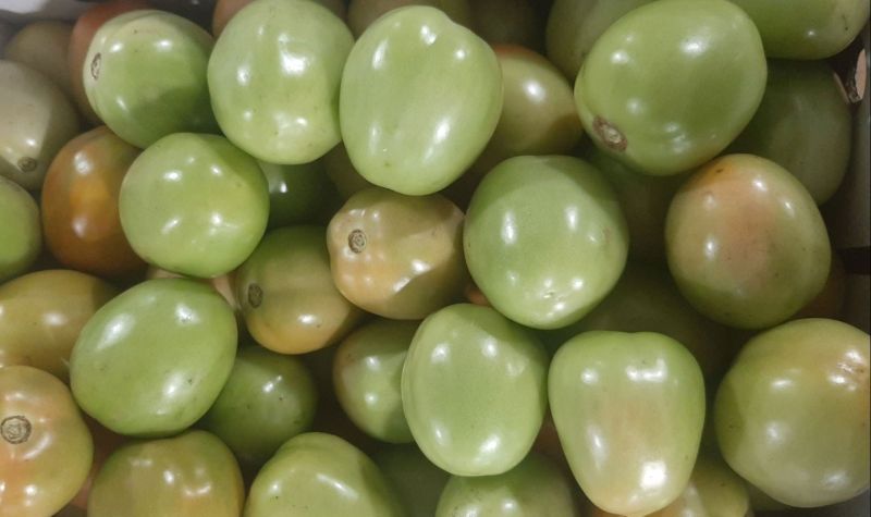 Fresh Green Tomato