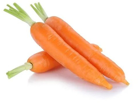 Fresh Orange Carrot