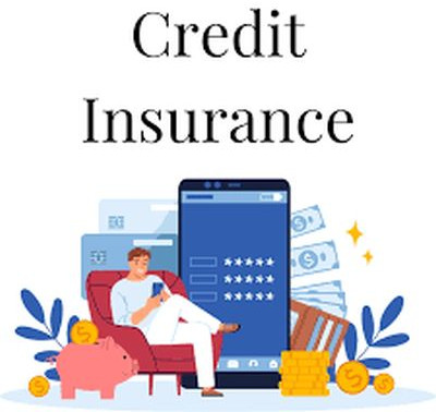 Credit Insurance Services